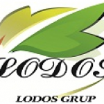 Lodos Grup