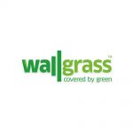 Wallgrass